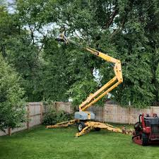 Best Tree Cabling and Bracing  in Bentleyville, PA