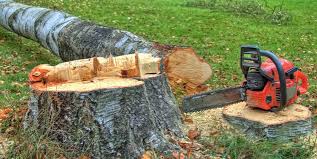 Best Arborist Consultation Services  in Bentleyville, PA