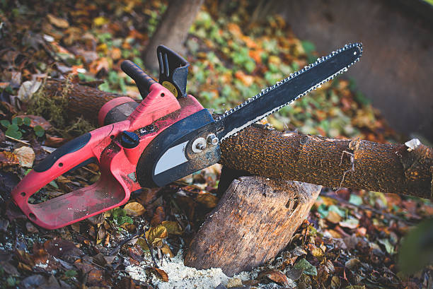 Best Leaf Removal  in Bentleyville, PA